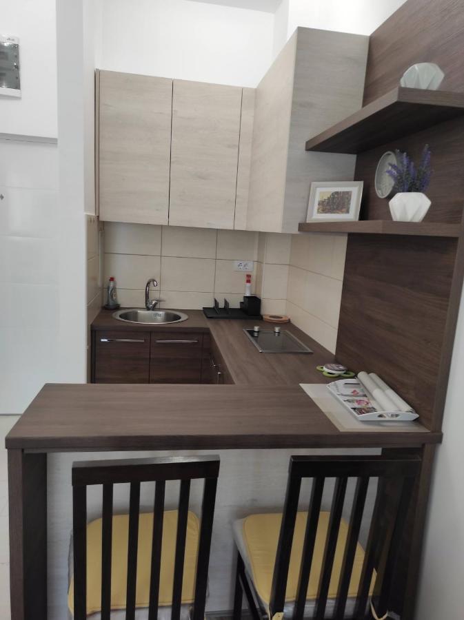 Studio Apartman Dani Баня-Ковиляча Экстерьер фото